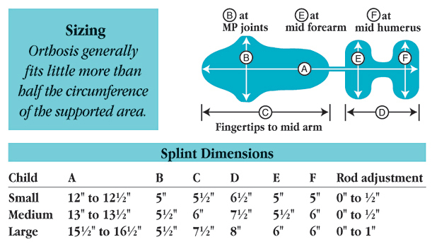 Forearm Size Chart